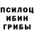 Галлюциногенные грибы мицелий Baiel Ibraimov