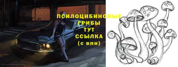 гидропоника Абаза