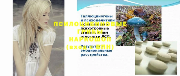 гидропоника Абаза